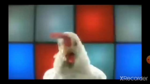 Петух танцует как панч под цыганскую песню