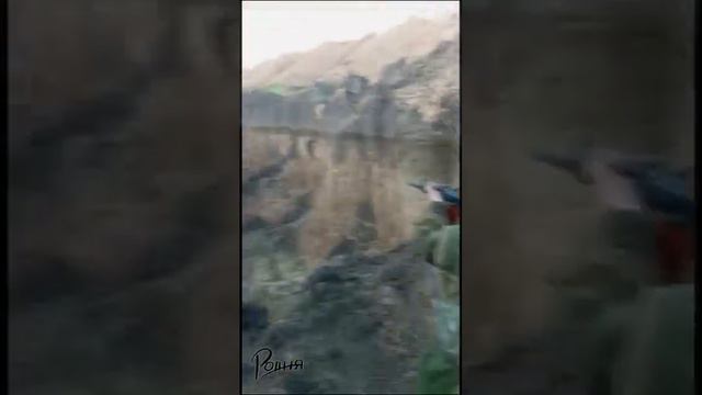 71 гвардейский и Дашка смотреть онлайн