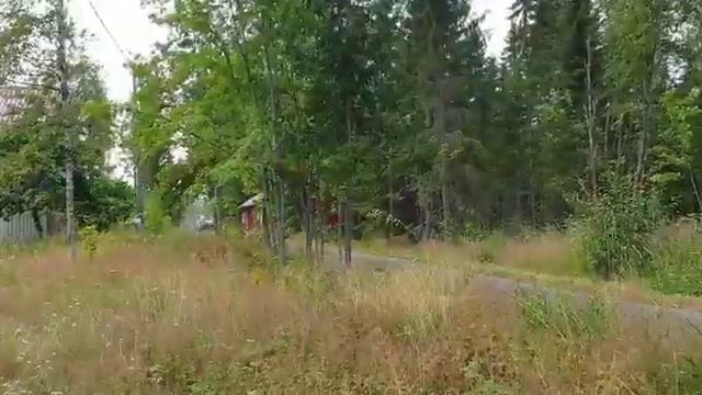 Greensmith crash WRC Finland 2019 смотреть онлайн