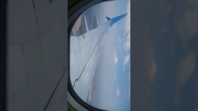 VID 20190419 121454 смотреть онлайн