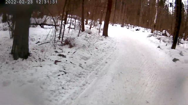 Lavra Ski Marathon ( Марафон Лыжня в Лавру) , 50 км, 23.02.2022 смотреть онлайн