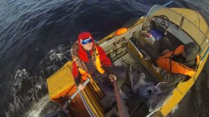 Прогресс 2м и Ямаха 9,9-15 2т