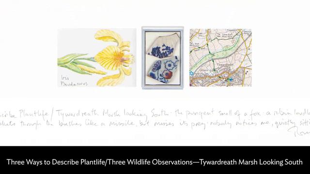 Ep. 15 Cornwall, UK: A Conversation With Tony Foster смотреть онлайн