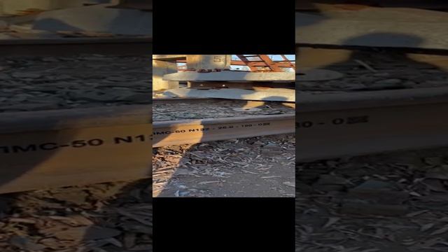 1000025533.mp4 смотреть онлайн