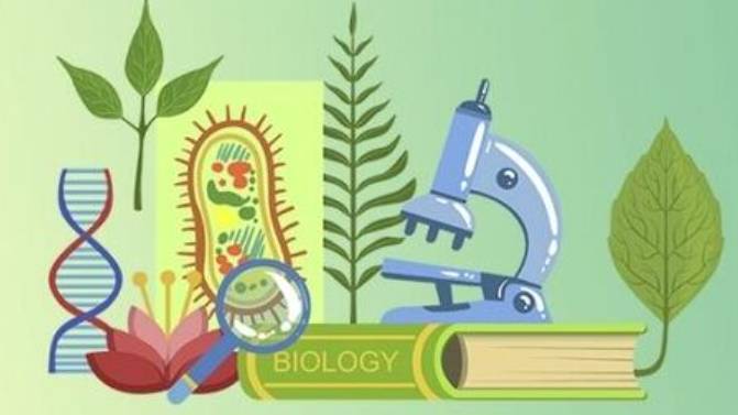 Биология 6 класс. Координация и и регуляция.-- смотреть онлайн