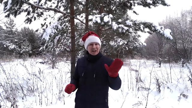Новогоднее поздравление от Виктора Журавлева смотреть онлайн