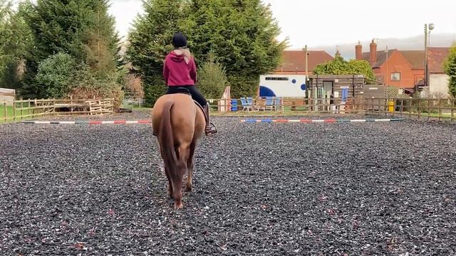 Laura Bennett & Lematan Sunshine Sadie, Malvern Hills Riding Club, Novice 3C, November 2021 смотреть онлайн