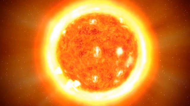 Willmott's Whitebeam (for Andrew Weatherall) смотреть онлайн