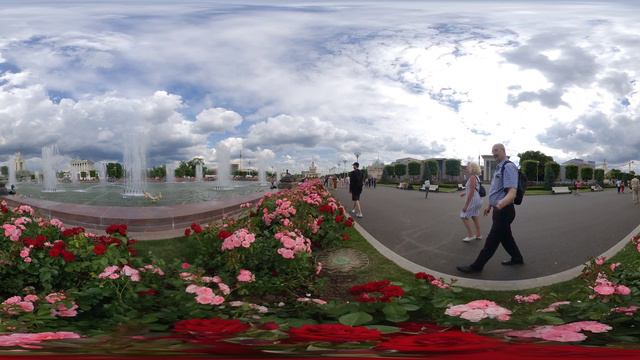 VID_20200701_152255_00_029