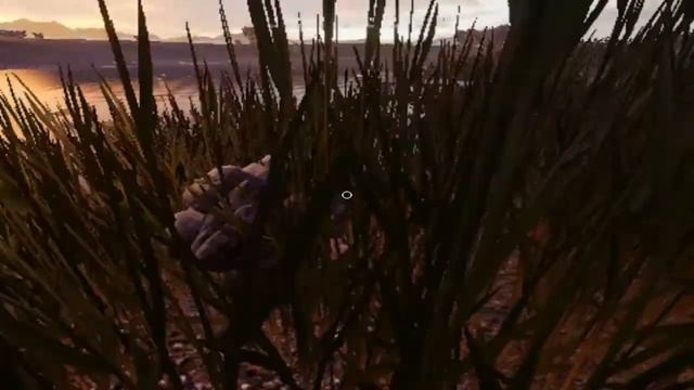 JUGANDO HUNTING SIMULATOR 2 EN PC DE GAMA BAJA смотреть онлайн