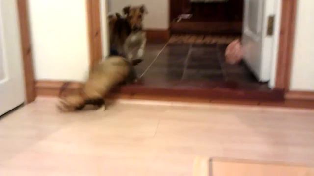 ally and biff. смотреть онлайн