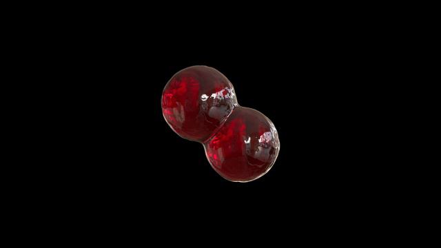 Connected Spheres