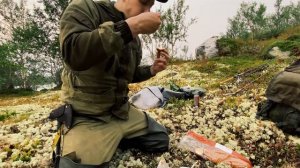 НОЧЬ НА ОСТРОВЕ | ВЫЖИВАЕМ В ЛЕСУ | РЫБАЛКА НА КОЛЬСКОМ |