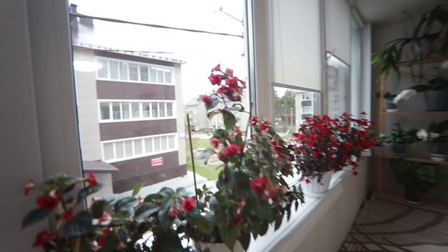 49999997 смотреть онлайн