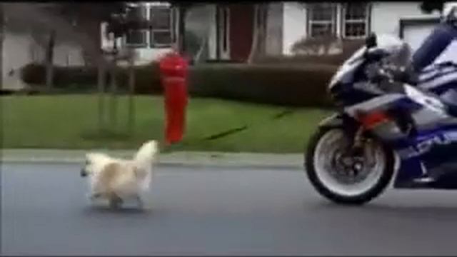 videoplayback 16 смотреть онлайн