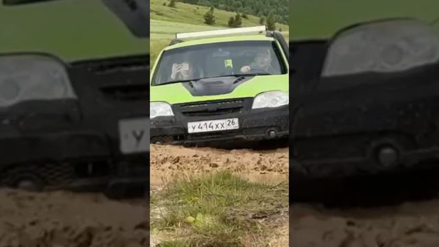 Шевик смотреть онлайн