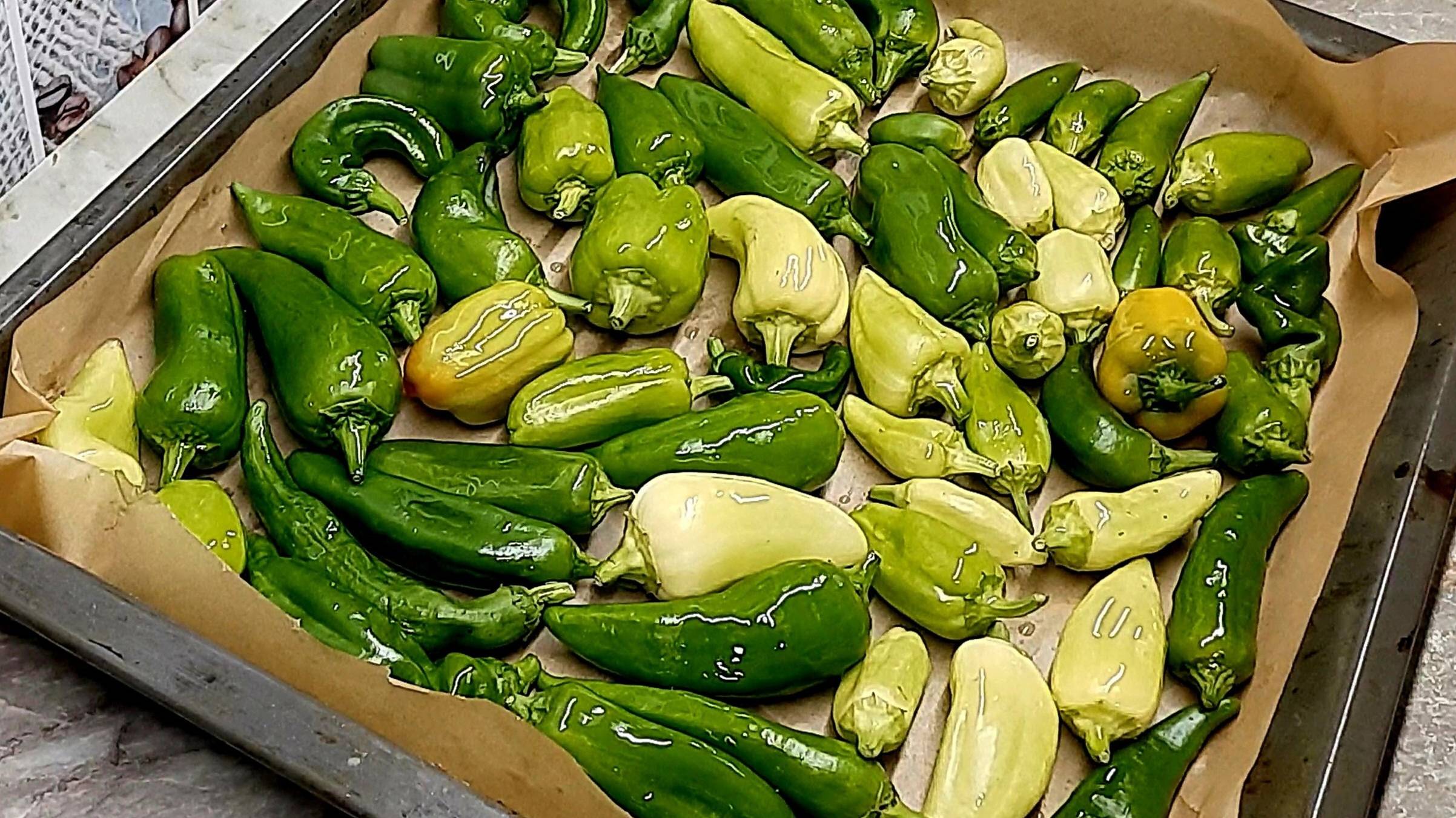 Этот ПЕРЕЦ разлетается на ура!!!💯❗ Обалденная ЗАКУСКА из ПЕРЦА❗❗Красота да и только 👌