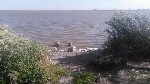 Берег реки - नदी के किनारे VID_20240923_093040.mp4