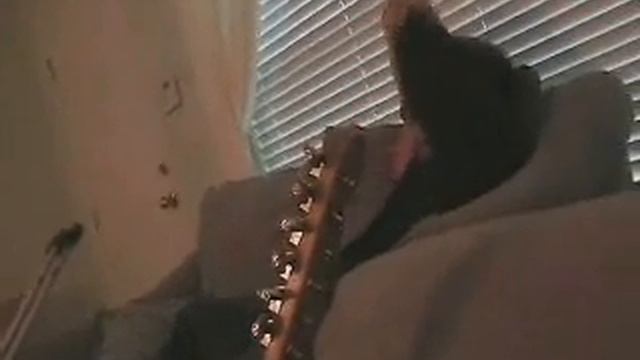 DUDE GETS PISSED ABOUT DALLAS CLARK. VERY FUNNY. смотреть онлайн