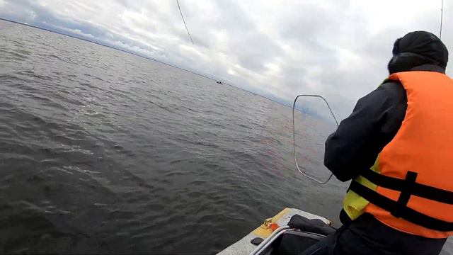 Ловля окуня на джиг. Рыбалка на Ладоге в полнолуние. Прогноз был штиль, а пришлось скакать по волнам смотреть онлайн