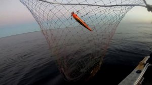 Наконец-то Ладога! Ловим судака, щуку и окуня. Как всегда проблемы нас не покидают.