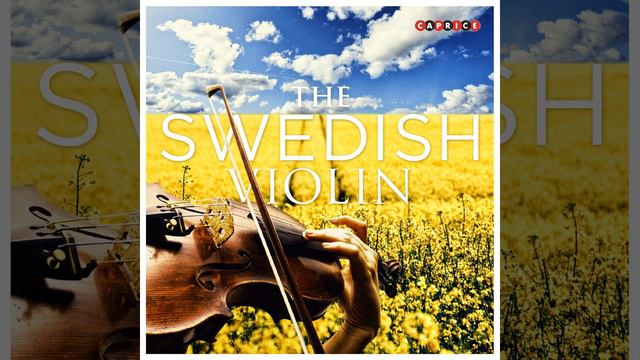 Violin Sonata No. 4 in B Minor, Op. 47: III. Andante con moto смотреть онлайн