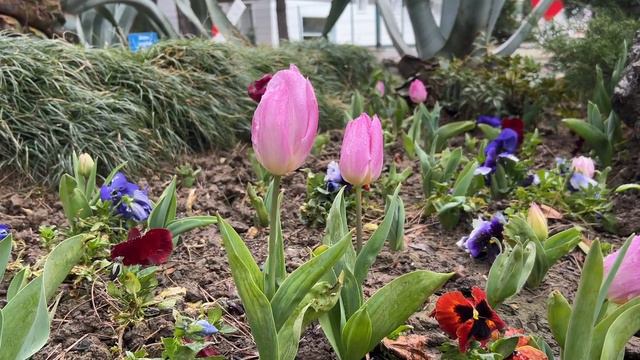 Пансионат Бургас 14.03.2024 Бассейн. Сочи. Адлер. Кудепста. Ливень. Шторм на море смотреть онлайн