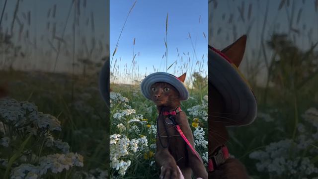 Отдых в Геленджике