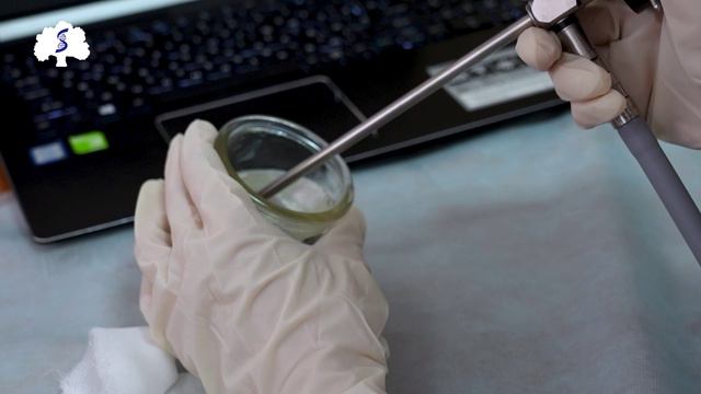 Студенческий научный кружок «Оториноларингология» смотреть онлайн