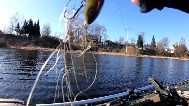 Проводим карантин на природе. Покатушки по реке Нева смотреть онлайн