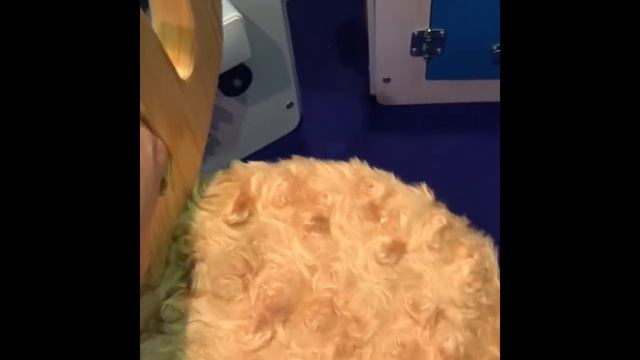 Зверостул «Лосенок» смотреть онлайн