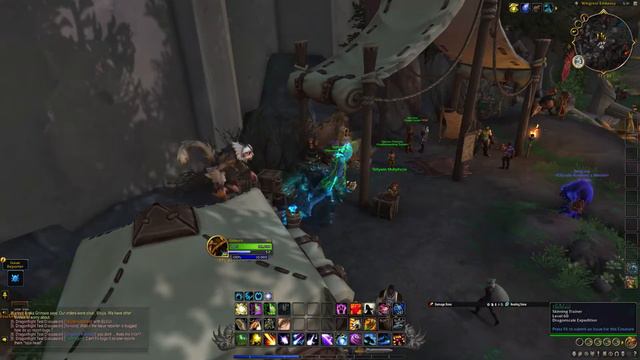 Dragonflight The Waking Shores Skinning And Leatherworking Trainer
