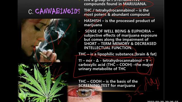 drugs of abuse смотреть онлайн