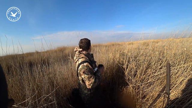 Охота в октябре в центре болота. Часть 3/3. День. смотреть онлайн