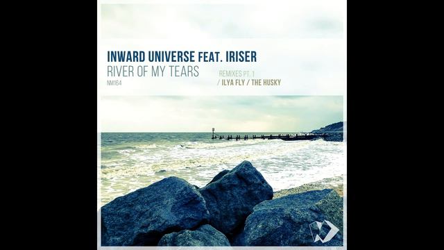 Inward Universe Feat. Iriser - River Of My Tears (Ilya Fly Remix) Best Trance 2019