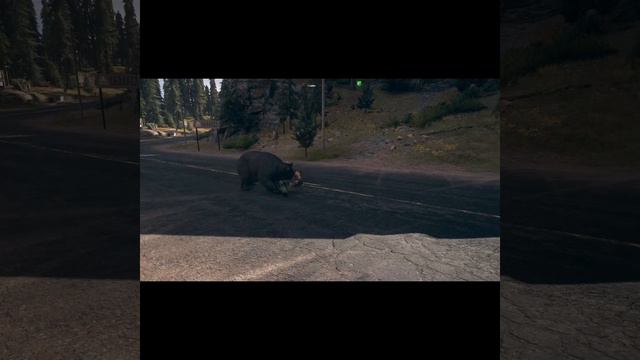 Far Cry 5 #farcry #farcry5 #xbox смотреть онлайн
