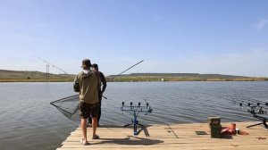 ЛОВЛЯ САМЫХ КРУПНЫХ КАРПОВ РОССИИ. ЛЕСКИ ЛОПАЮТСЯ ОТ ЭТИХ РЫБ.