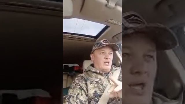 Куда Делась Утка? смотреть онлайн