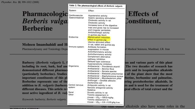 Treating Acne with Barberries смотреть онлайн