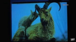 Мариян Дандамаева. Охотники