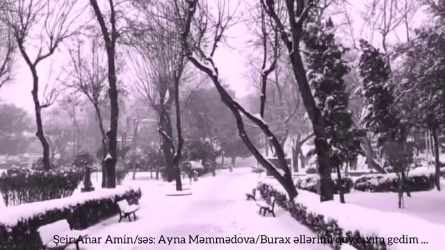 Söz: Anar Amin/ Səs: Ayna Məmmədova/Burax əllərimi, Qoy çıxım Gedim#lirika#şeir#heyat
