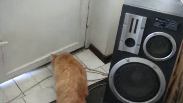 Охота на бабочек смотреть онлайн