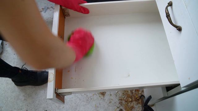 Cleaning SUPER DIRTY AND GRIMY home only in 2 days!! 😱🥰 смотреть онлайн