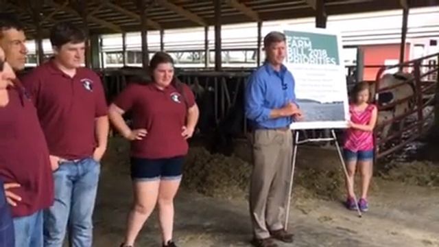 Curious cow at Kind conference смотреть онлайн