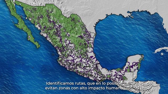 Conectividad ecológica ante el cambio global. смотреть онлайн