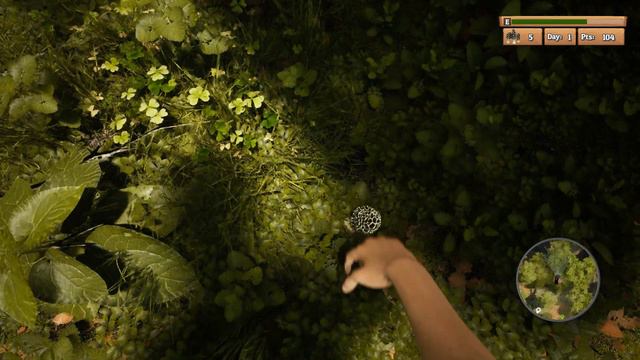What is Morels: The Hunt? смотреть онлайн