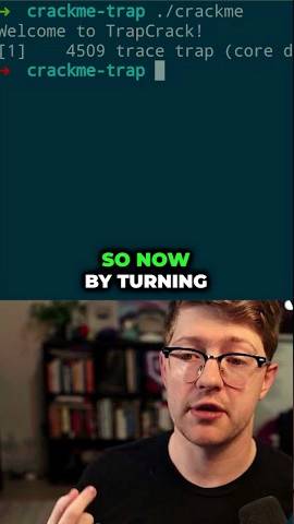 What is a Breakpoint (ITS A TRAP?) #programming #lowcode #tech #codinglessons #security смотреть онлайн