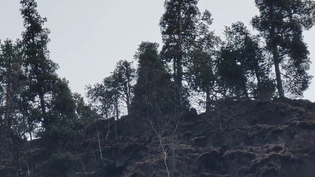 Хупри Дидоэтия 2023 год весной смотреть онлайн