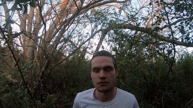 Bundesliga Werder Bremen best sounding names semifinal 1 смотреть онлайн