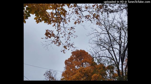 Koresh - No Need To Respond смотреть онлайн